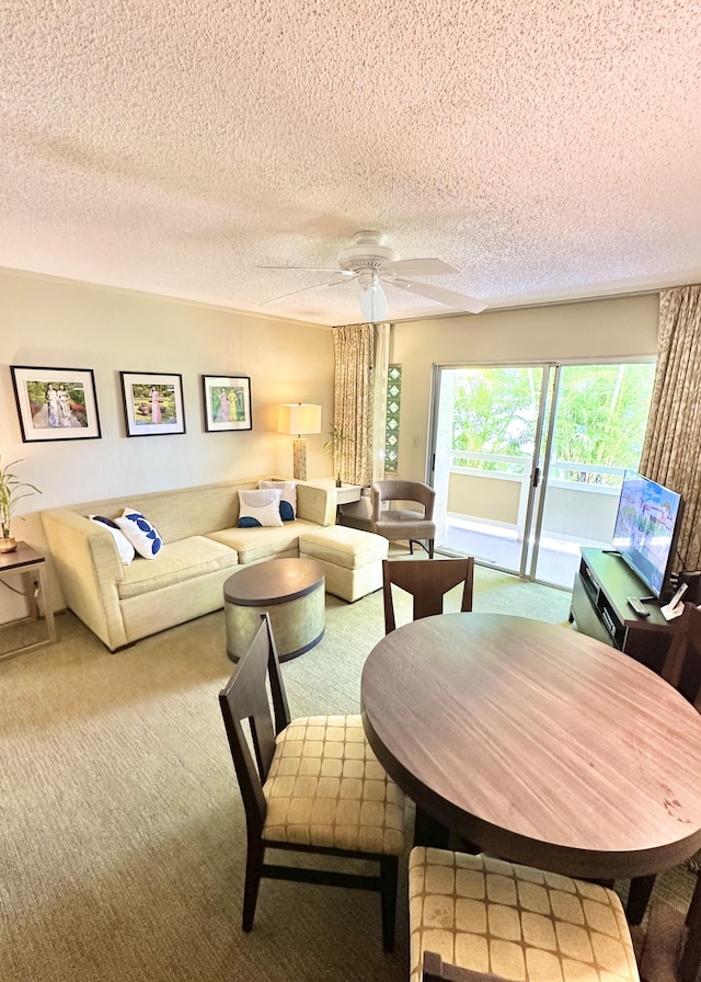 525 Aleka Lp Unit A2, Kapaa, HI 96746 - living area with carpet flooring, a textured ceiling, and ceiling fan