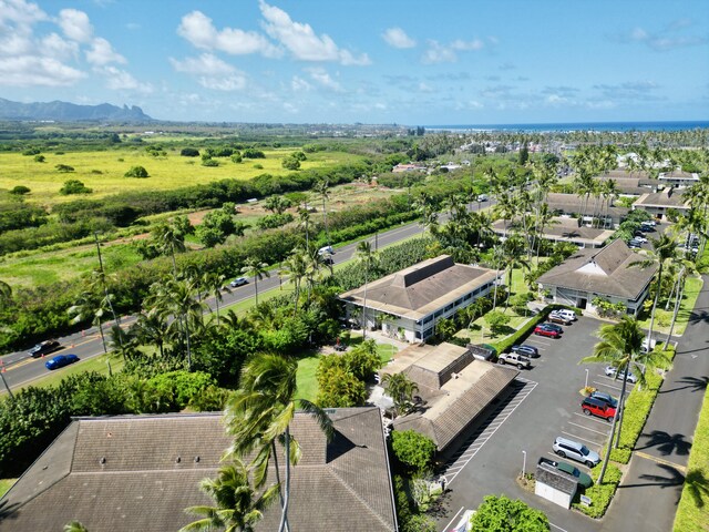 525 Aleka Lp Unit A2, Kapaa, HI 96746 - drone / aerial view