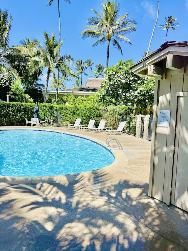 525 Aleka Lp Unit A2, Kapaa, HI 96746 - community pool featuring a patio area