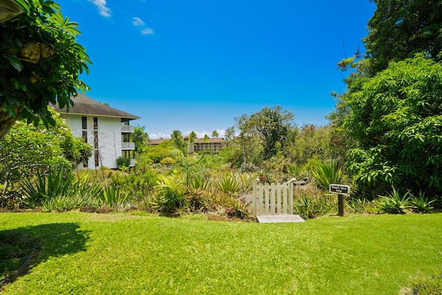 2253 Poipu Rd Unit 320, Koloa, HI 96756 - view of grassy yard