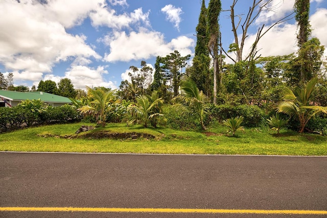 Emerald Dr, Pahoa, HI 96778 - photo 5