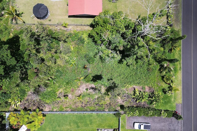 Emerald Dr, Pahoa, HI 96778 - photo 4