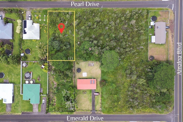 Pearl Dr, Pahoa, HI 96778 - photo 2