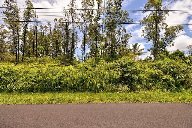 Pearl Dr, Pahoa, HI 96778 - photo 6