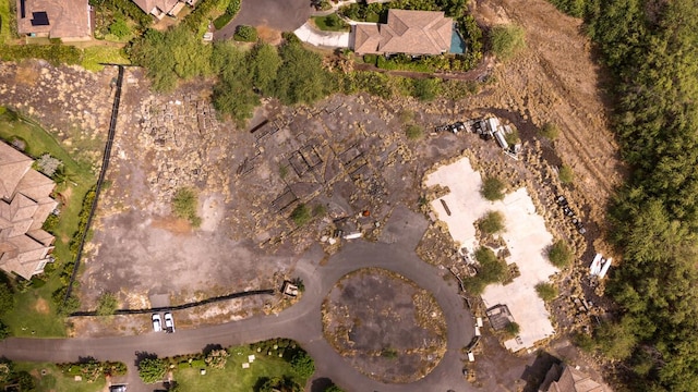 68-1118 N Kaniku Dr Unit 1201, Kamuela, HI 96743 - photo 11