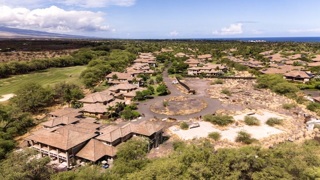 68-1118 N Kaniku Dr Unit 1201, Kamuela, HI 96743 - photo 4
