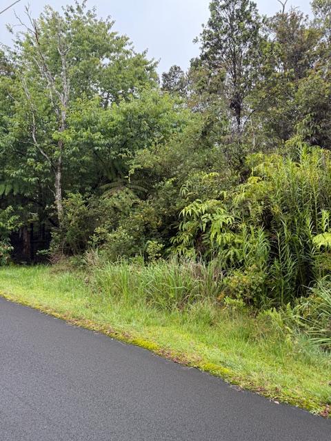 11-3184-A Alaula St, Volcano, HI 96785