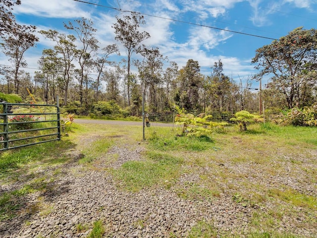 11-3057 Anuhea St, Volcano, HI 96785 - view of yard