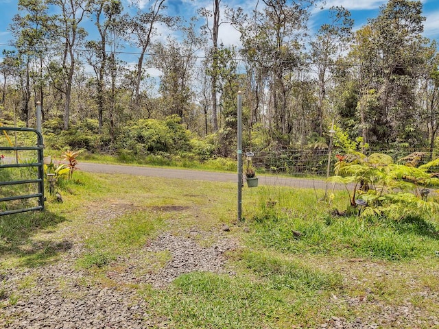 11-3057 Anuhea St, Volcano, HI 96785 - view of yard