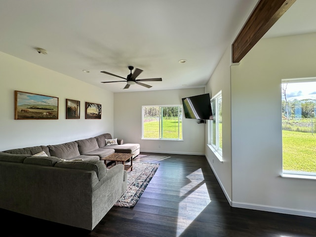 18-7970 Lauko Rd, Mountain View, HI 96771 - photo 13