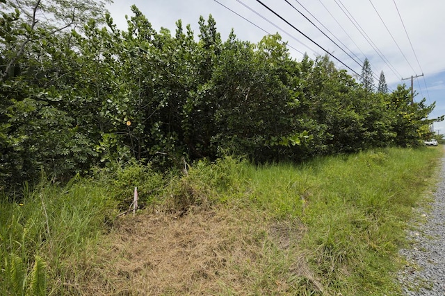 15-1911 2nd Ave, Keaau, HI 96749 - photo 14