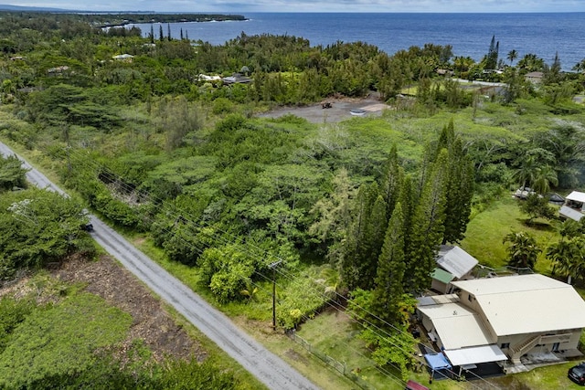15-1911 2nd Ave, Keaau, HI 96749 - photo 9