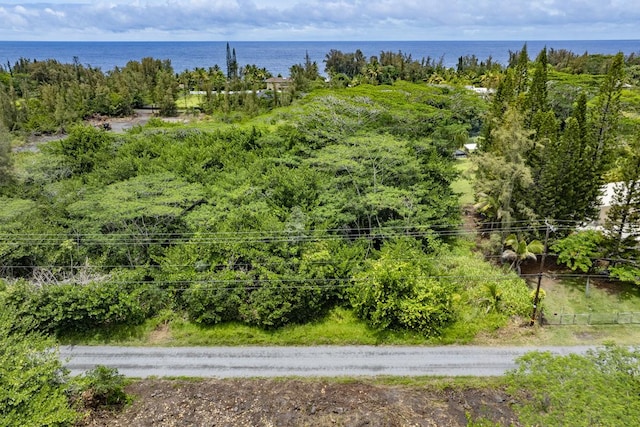 15-1911 2nd Ave, Keaau, HI 96749 - photo 12
