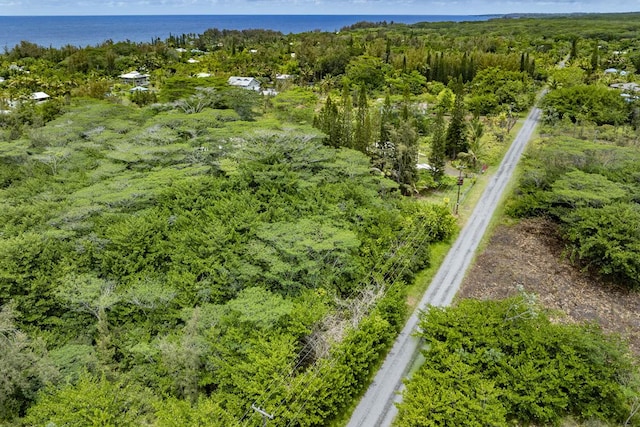 15-1911 2nd Ave, Keaau, HI 96749 - photo 13