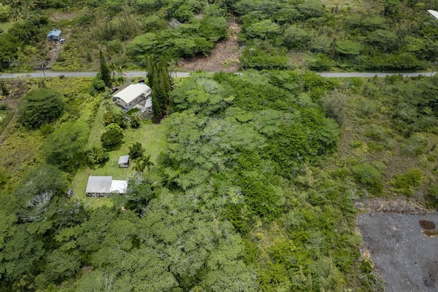 15-1911 2nd Ave, Keaau, HI 96749 - photo 15