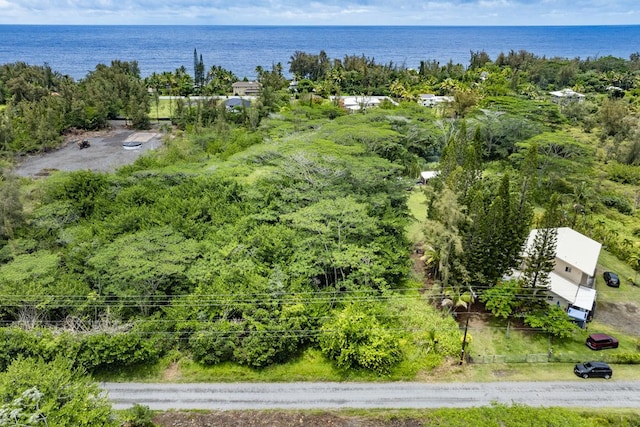 15-1911 2nd Ave, Keaau, HI 96749 - photo 18