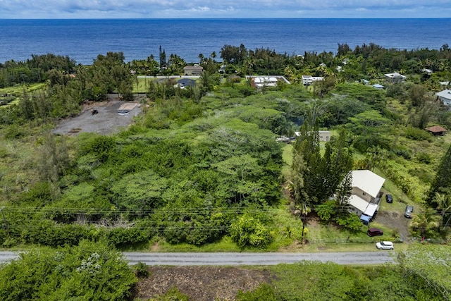 15-1911 2nd Ave, Keaau, HI 96749 - photo 21