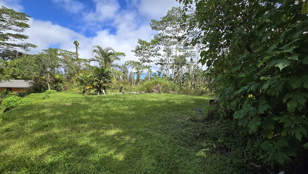 Kapuna Rd, Pahoa, HI 96778 - photo 1