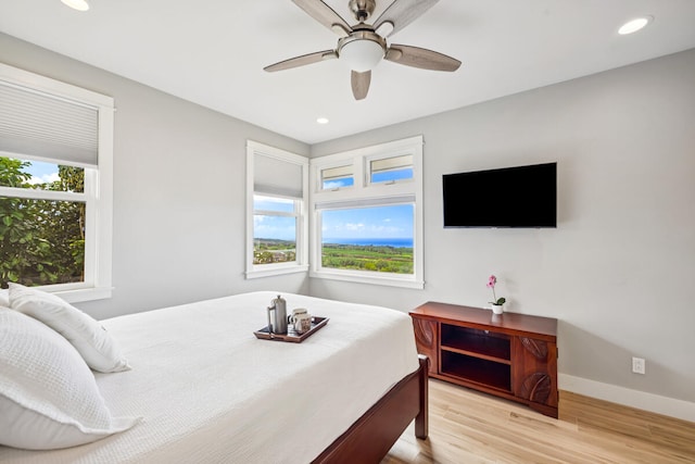 1191 Kaena St, Kalaheo, HI 96741 - photo 10
