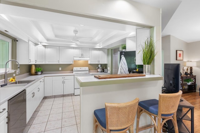 68-1740 Akaula St, Waikoloa, HI 96738 - kitchen featuring white electric range oven, dishwashing machine, a tray ceiling, freestanding refrigerator, and under cabinet range hood