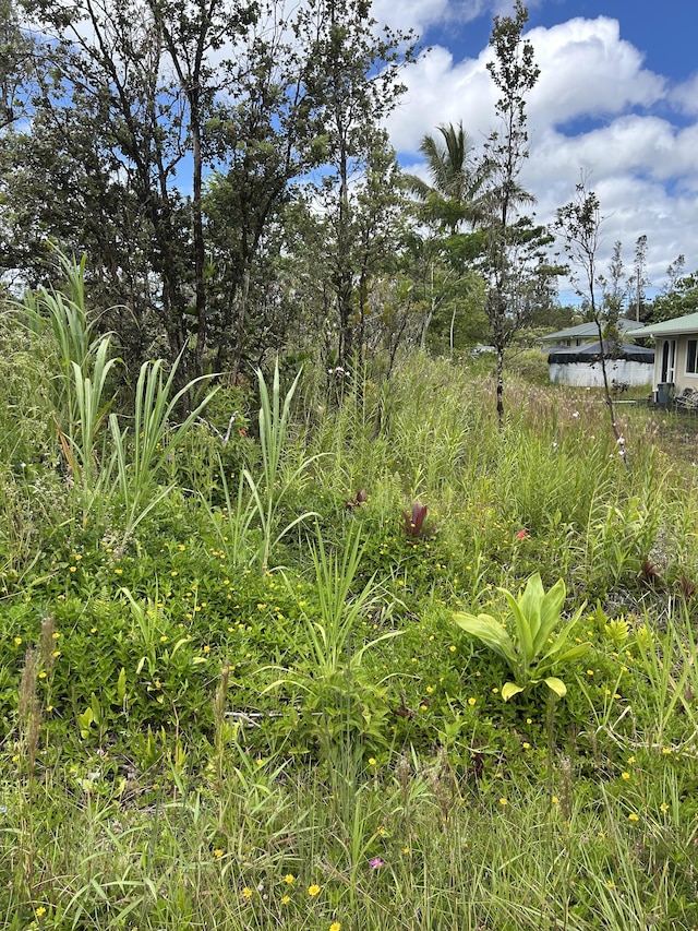 Silversword Dr, Pahoa, HI 96778