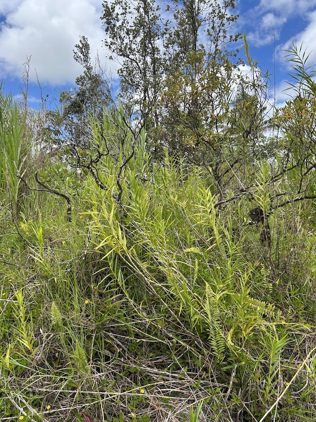 Silversword Dr, Pahoa, HI 96778