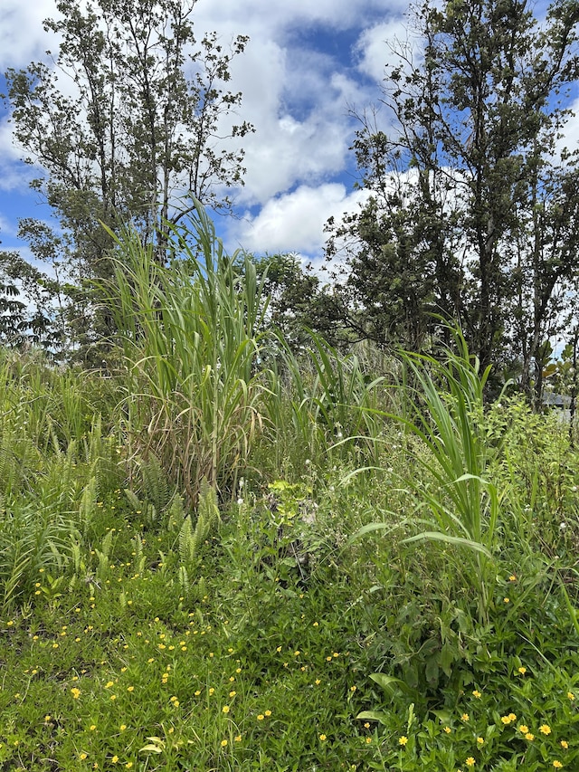 Silversword Dr, Pahoa, HI 96778