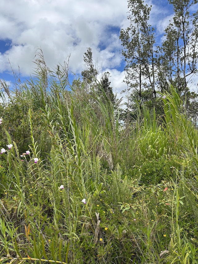 Silversword Dr, Pahoa, HI 96778
