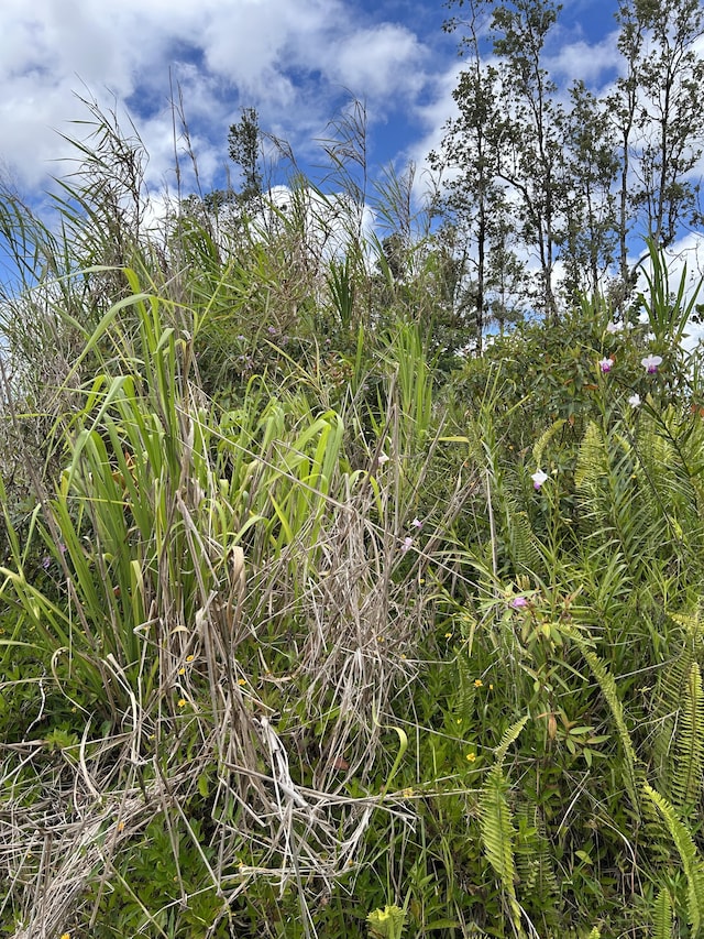 Silversword Dr, Pahoa, HI 96778