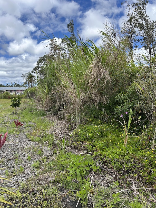 Silversword Dr, Pahoa, HI 96778