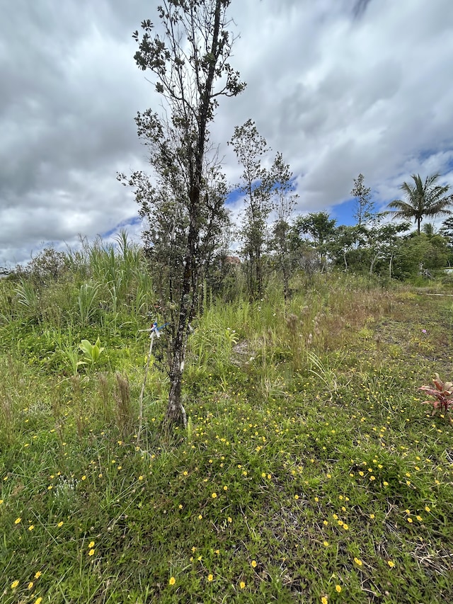 Silversword Dr, Pahoa, HI 96778
