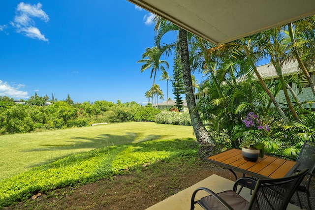3830 Edward Rd Unit 12D, Princeville, HI 96722 - photo 7