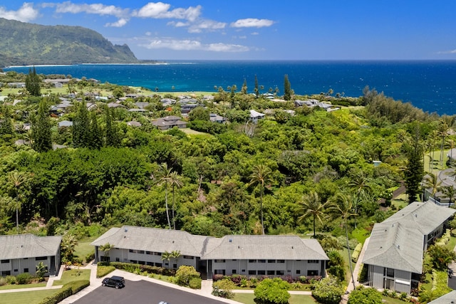 3830 Edward Rd Unit 12D, Princeville, HI 96722 - photo 25