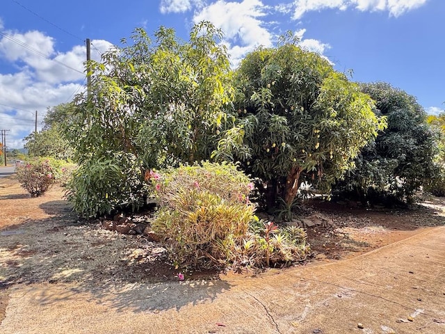 3030 Poipu Rd, Koloa, HI 96756 - photo 21
