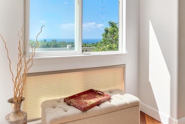 75-6060 Kuakini Hwy Unit G2, Kailua-Kona, HI 96740 - photo 23