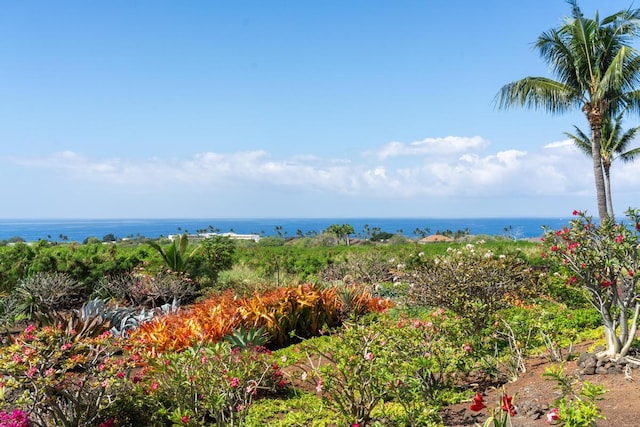 75-6060 Kuakini Hwy Unit G2, Kailua-Kona, HI 96740 - photo 6