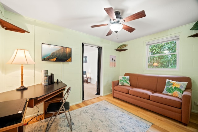 3750 Mamaki St, Koloa, HI 96756 - photo 21