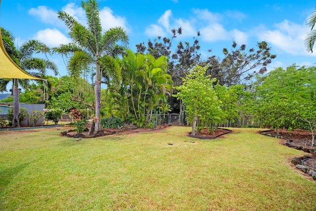 3750 Mamaki St, Koloa, HI 96756 - photo 23