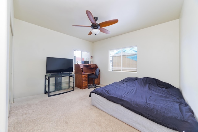 73-4345 Ilimano Pl, Kailua-Kona, HI 96740 - photo 22