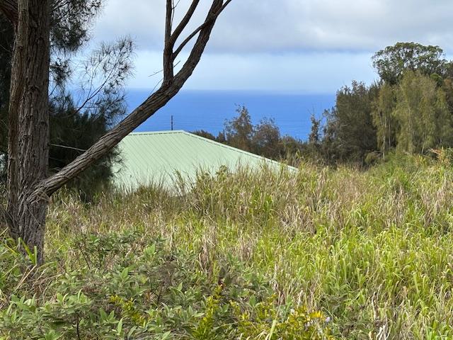 Palikekua St, Honokaa, HI 96727