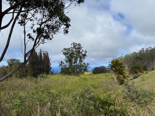 Palikekua St, Honokaa, HI 96727