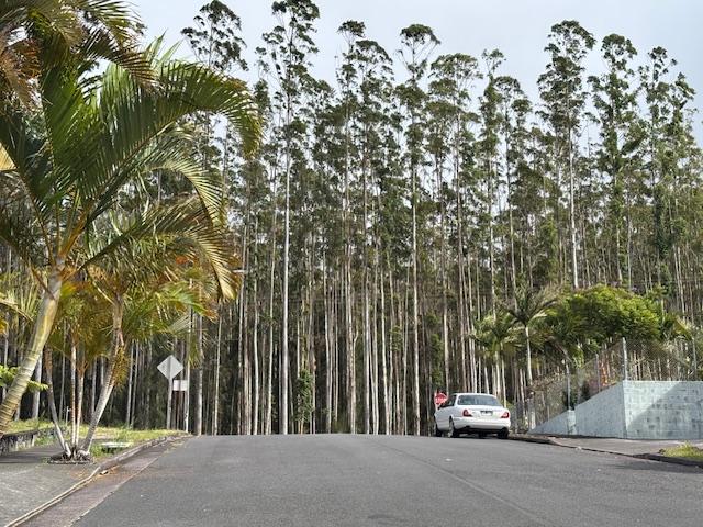 Palikekua St, Honokaa, HI 96727