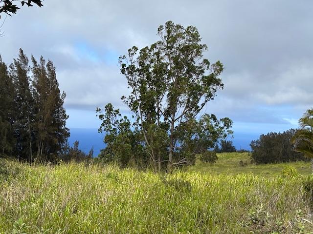 Palikekua St, Honokaa, HI 96727