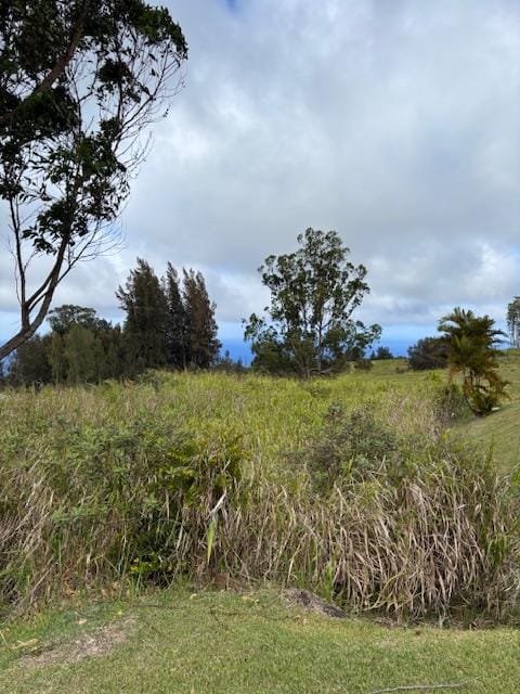Palikekua St, Honokaa, HI 96727