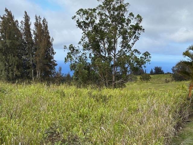 Palikekua St, Honokaa, HI 96727