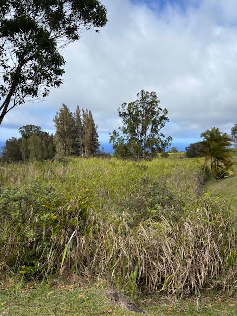 Palikekua St, Honokaa, HI 96727
