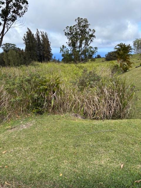 Palikekua St, Honokaa, HI 96727