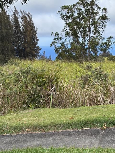 Palikekua St, Honokaa, HI 96727