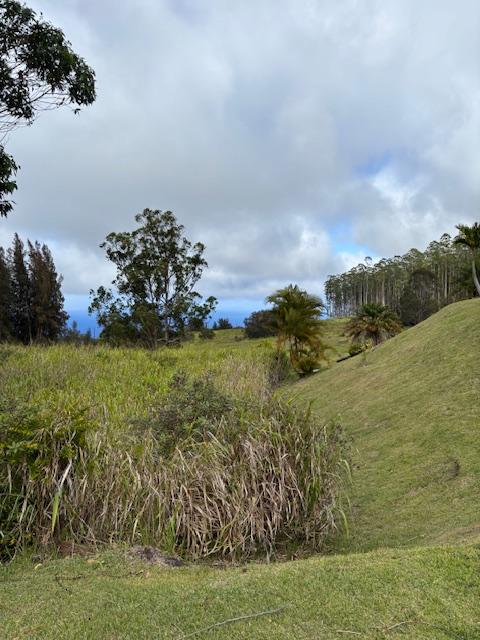 Palikekua St, Honokaa, HI 96727