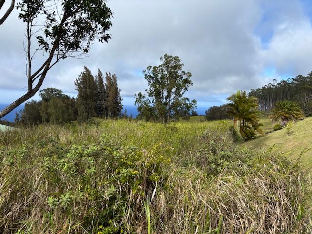 Palikekua St, Honokaa, HI 96727